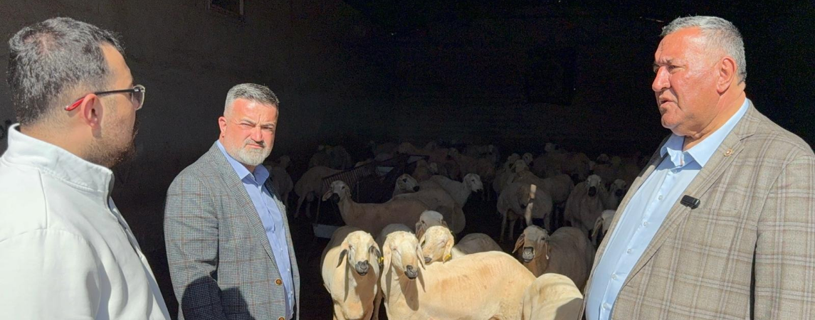 Emekli Kurbanlık Alamazken, Asgari Ücretliyede Kurbanlık Zor!