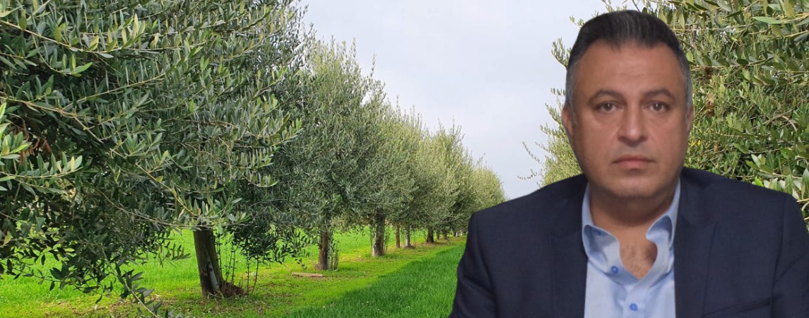 Zeytini Kökünden Sökene, Bu Toprakta Tutunmak Haramdır