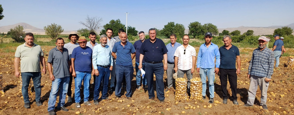 Patates Tarladan Sofraya Değil, Çöpe Gidiyor!