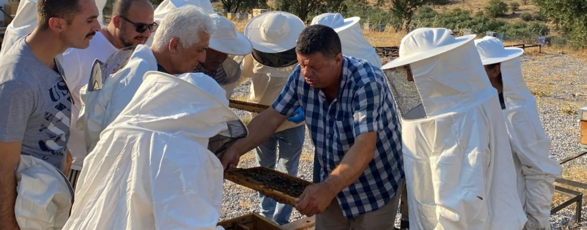 Arıcılara Uygulamalı Eğitim 