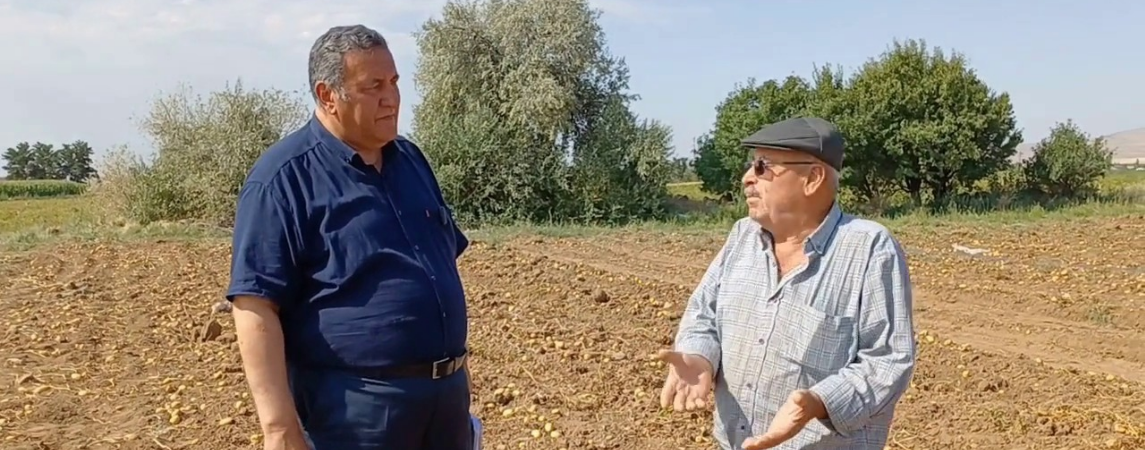 İktidar Bir Patatesi Sorununu Çözemedi!