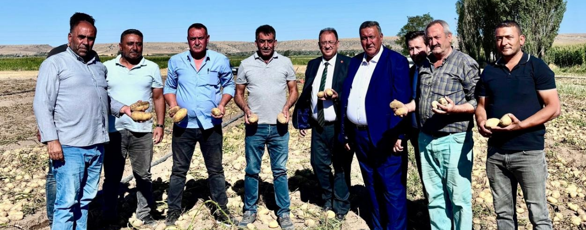 Patateste Kriz Sürüyor 