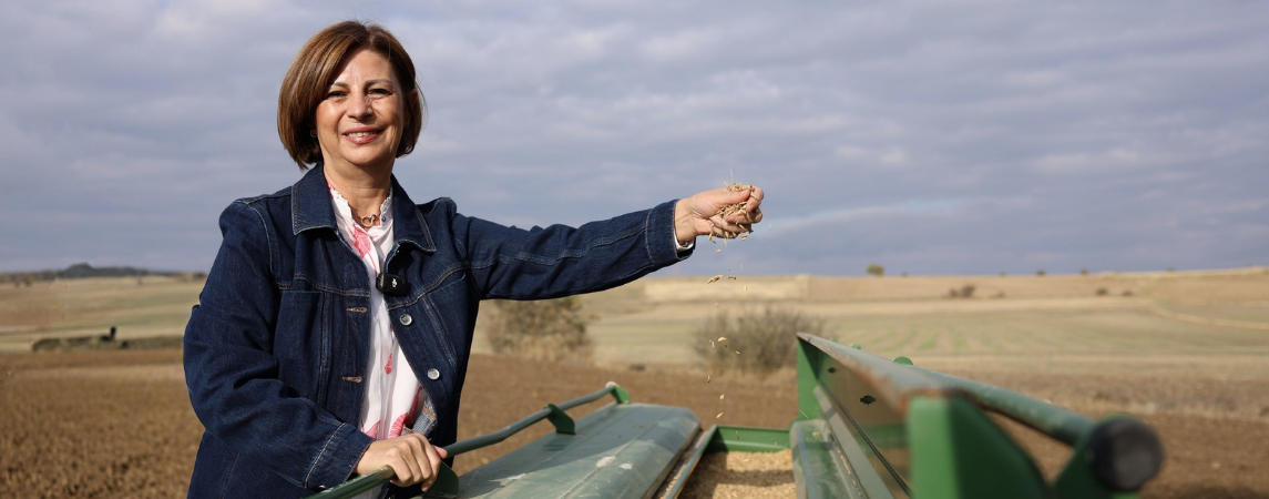 Kavılca Buğdayı 5 Bin Yıl Aradan Sonra Eskişehir Topraklarında