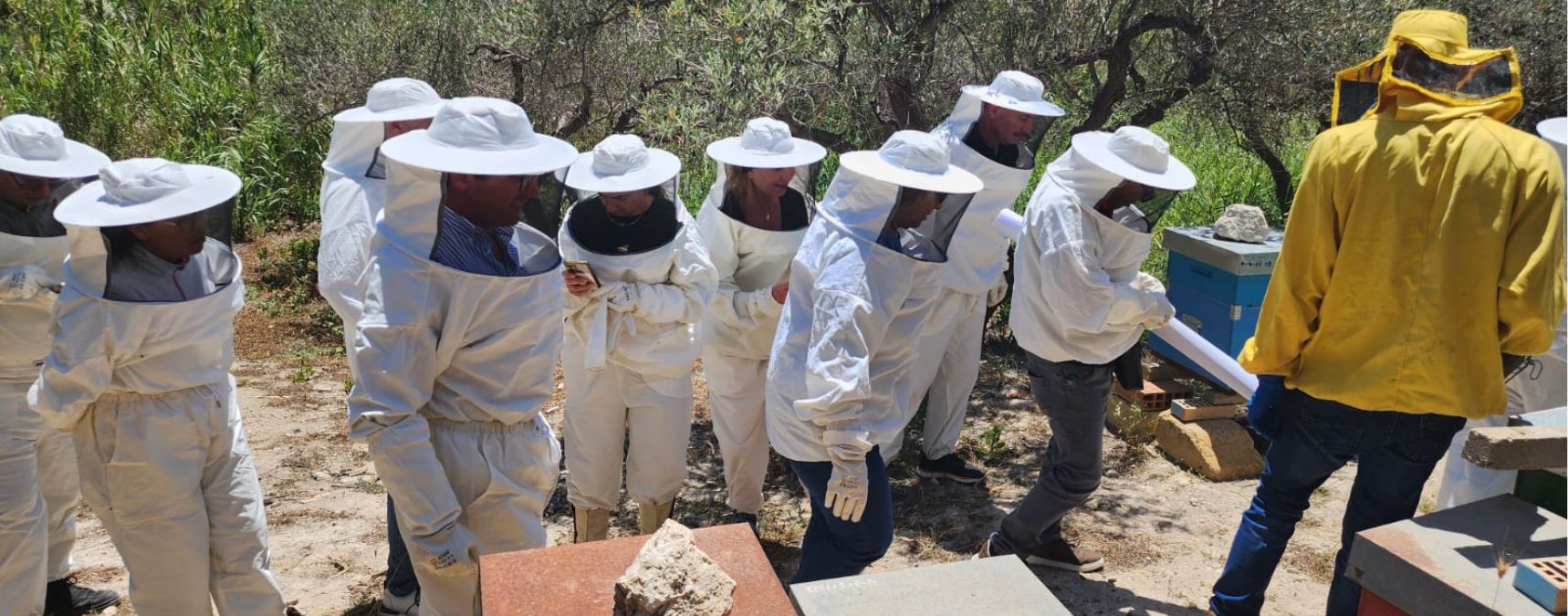 BestHoney Projesinin İkinci Toplantısı İtalya'da Gerçekleştirildi