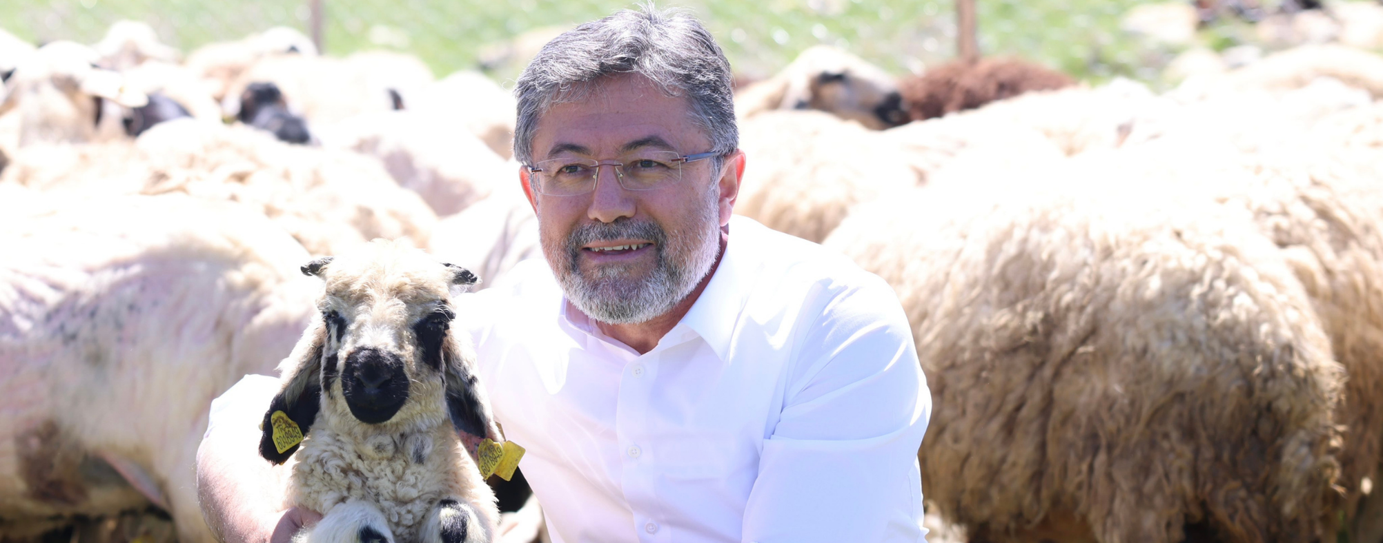 Süt Üretiminde Büyüyor Destekle Güçleniyoruz