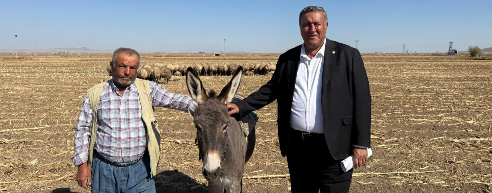 Hayvancılıkta Sorunlar Artıyor