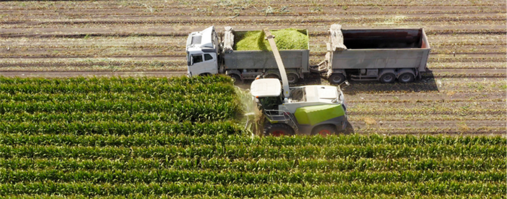 Tarımsal Destek Ödemeleri Yapılıyor