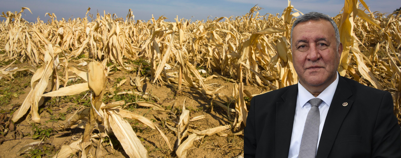 Üretmezsen İthalata Mahkum Olursun