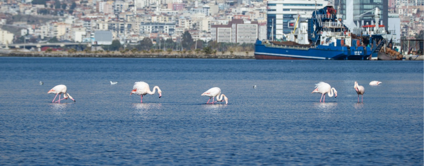 İzmir’in İklim Eylemi Çalışmaları Avrupa Gündeminde