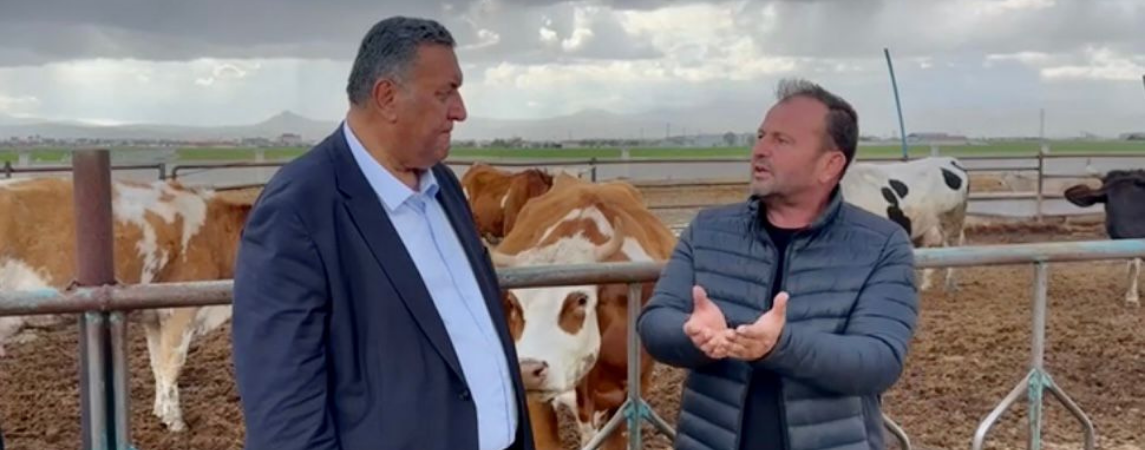 CHP'li Gürer: 