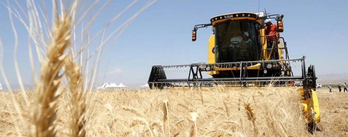 Hububat Alımlarında 1 Milyon Ton Eşiği Aşıldı