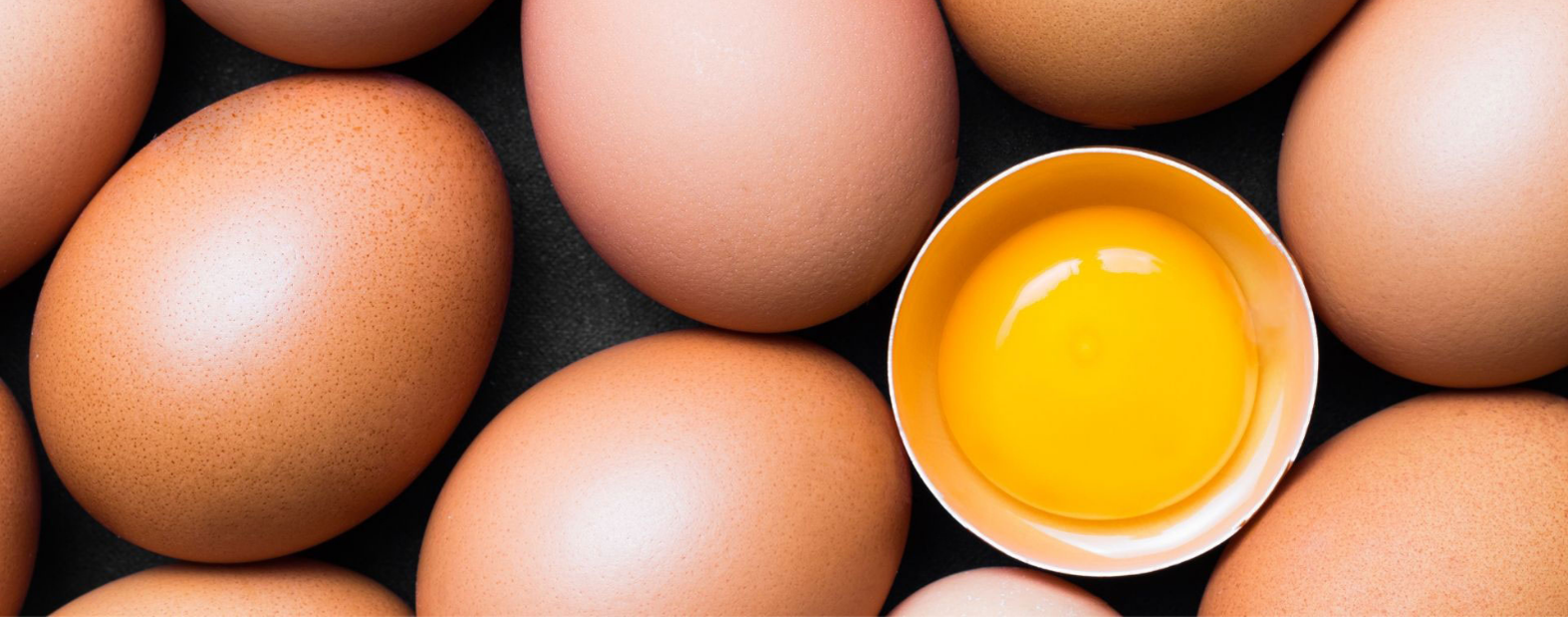 Eylül Ayında Yumurta Üretiminde Azalış 