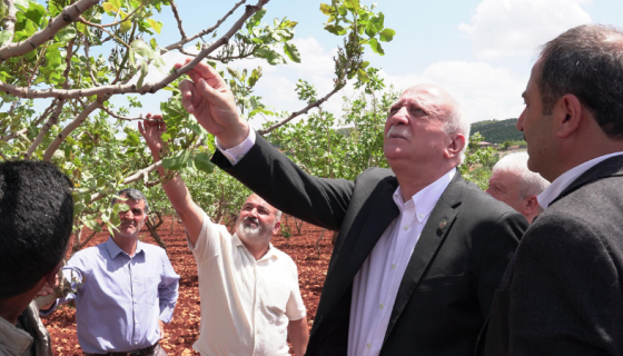 Tarihimizin En Büyük Afetlerinden Birini Yaşıyoruz!
